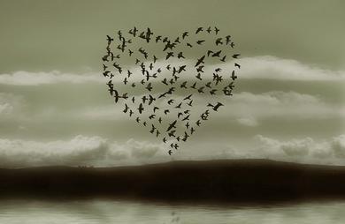 Love.jpg